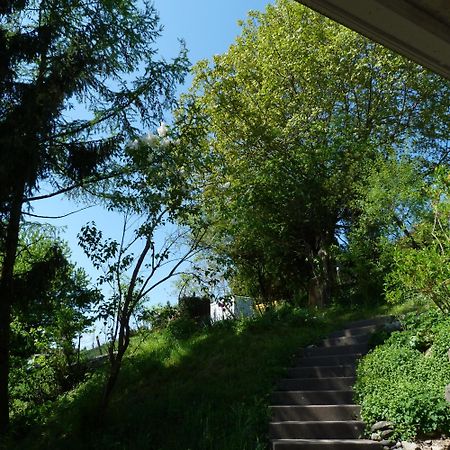 Bnb Goldberg Schmerikon ภายนอก รูปภาพ